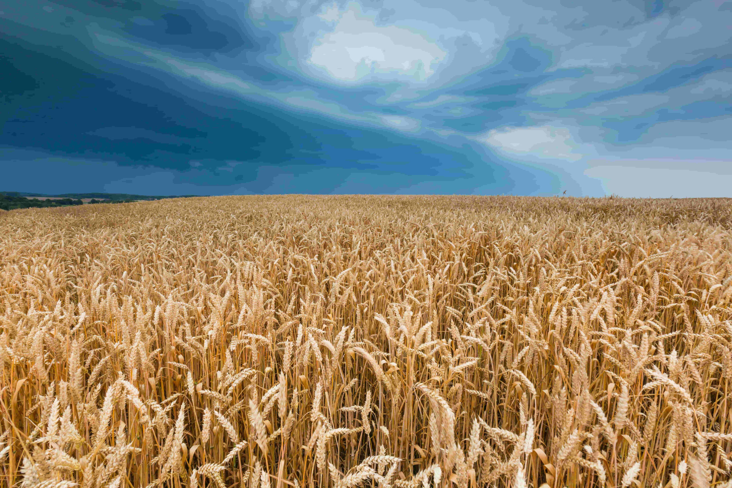 características del cambio climático de la niña en el mundo y el campo de la argentina 2021
