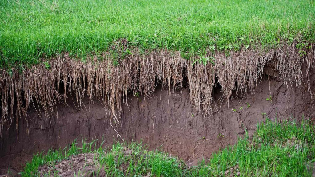 erosión hídrica del agua y degradación del suelo en el campo con cultivos como la soja, maíz y sorgo